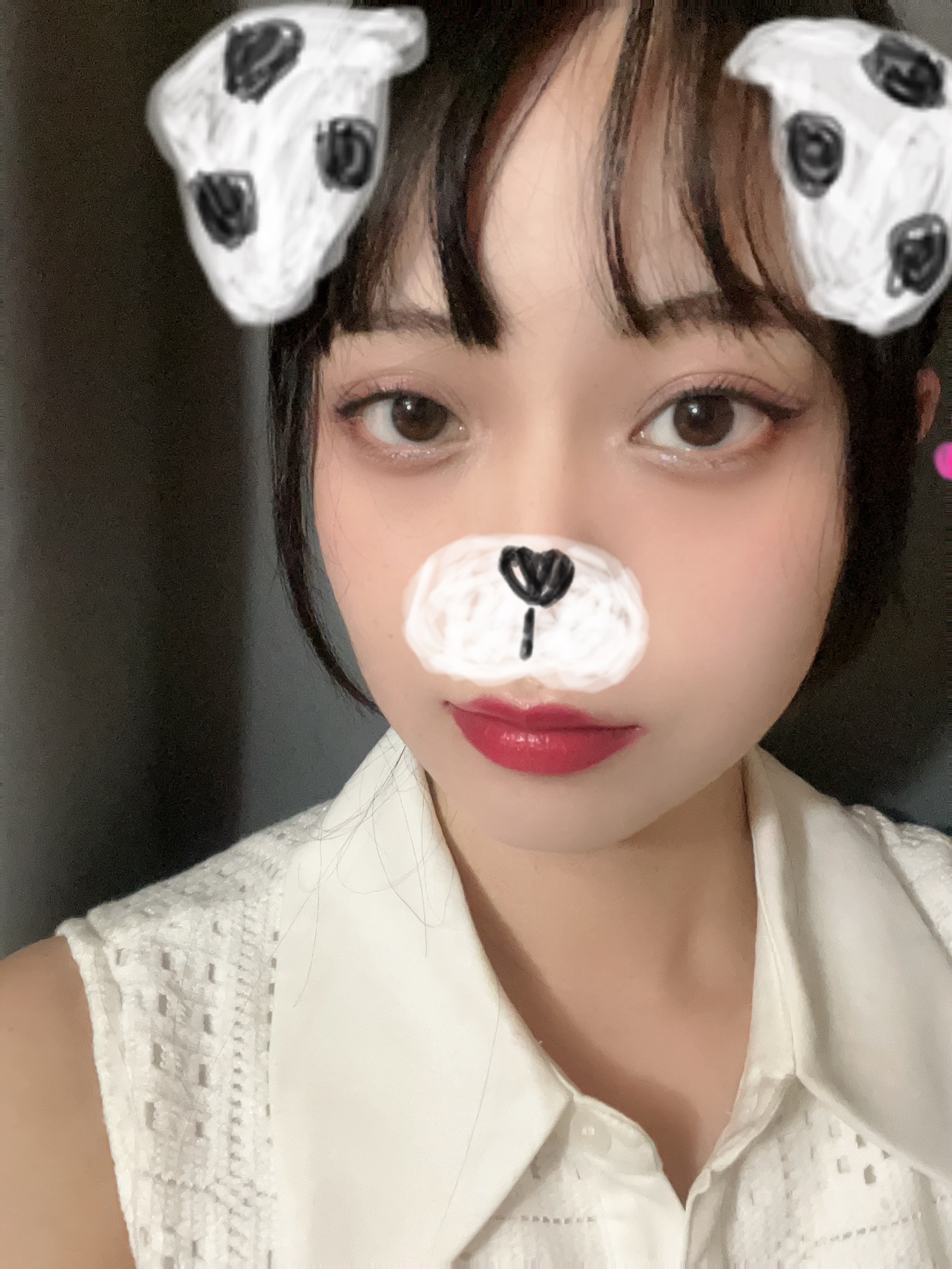 こんばんは✨ゆうです🐕
