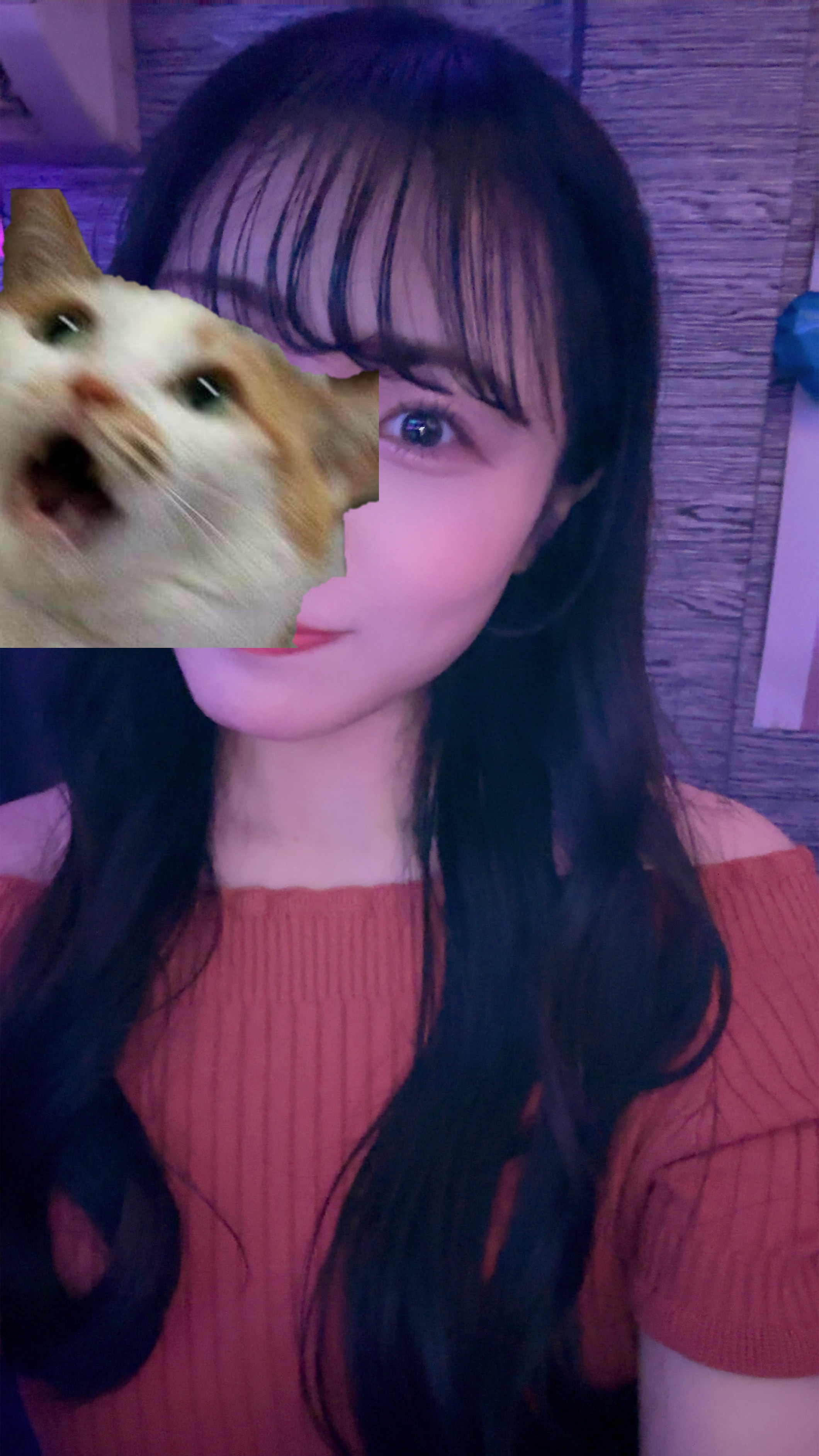 おひさ🐈‍⬛ゆず