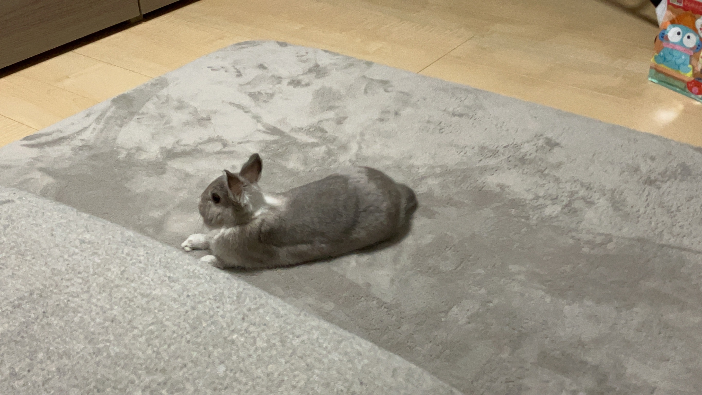 てのです！！こんばわ！！
