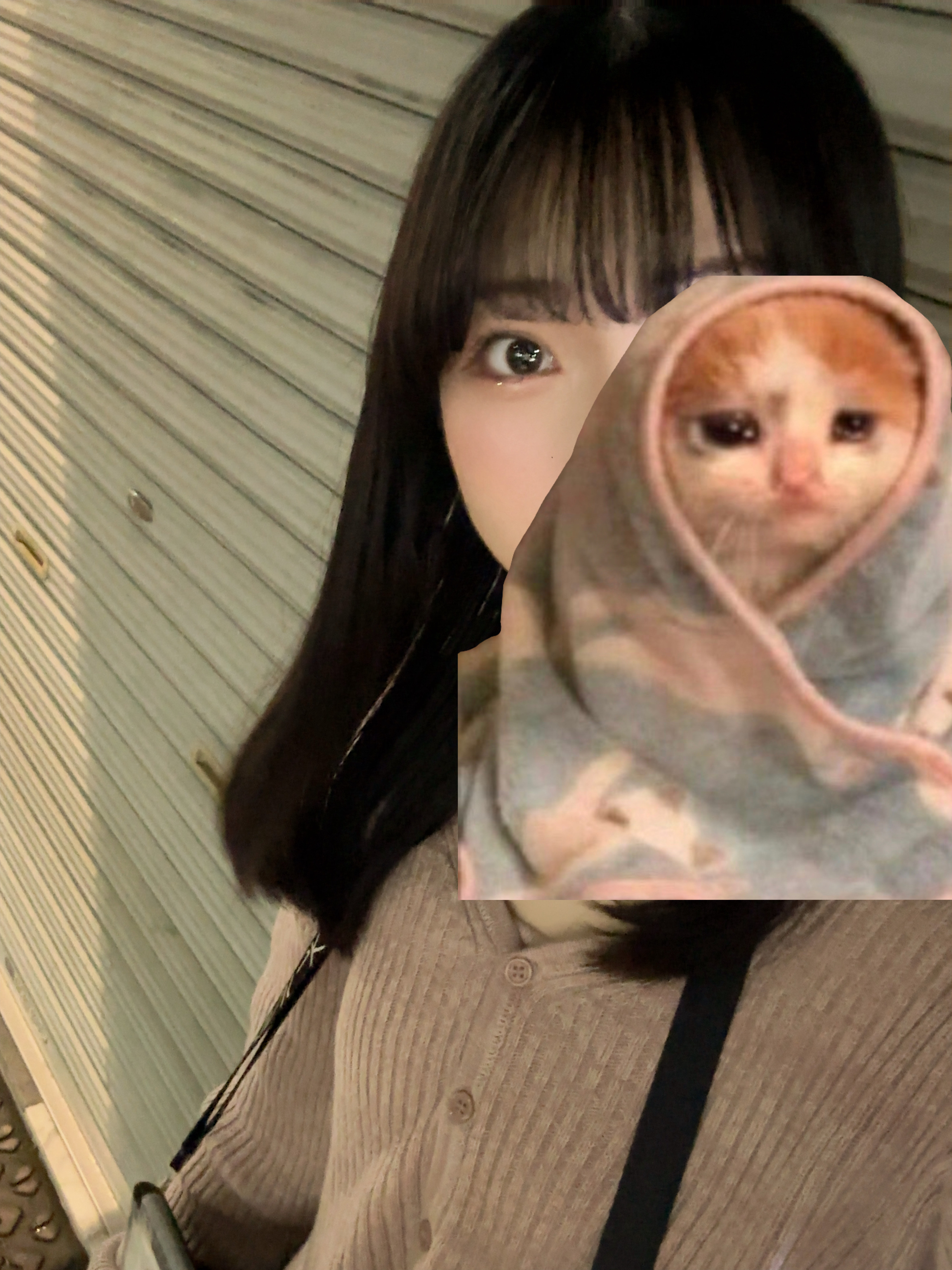9月最終日