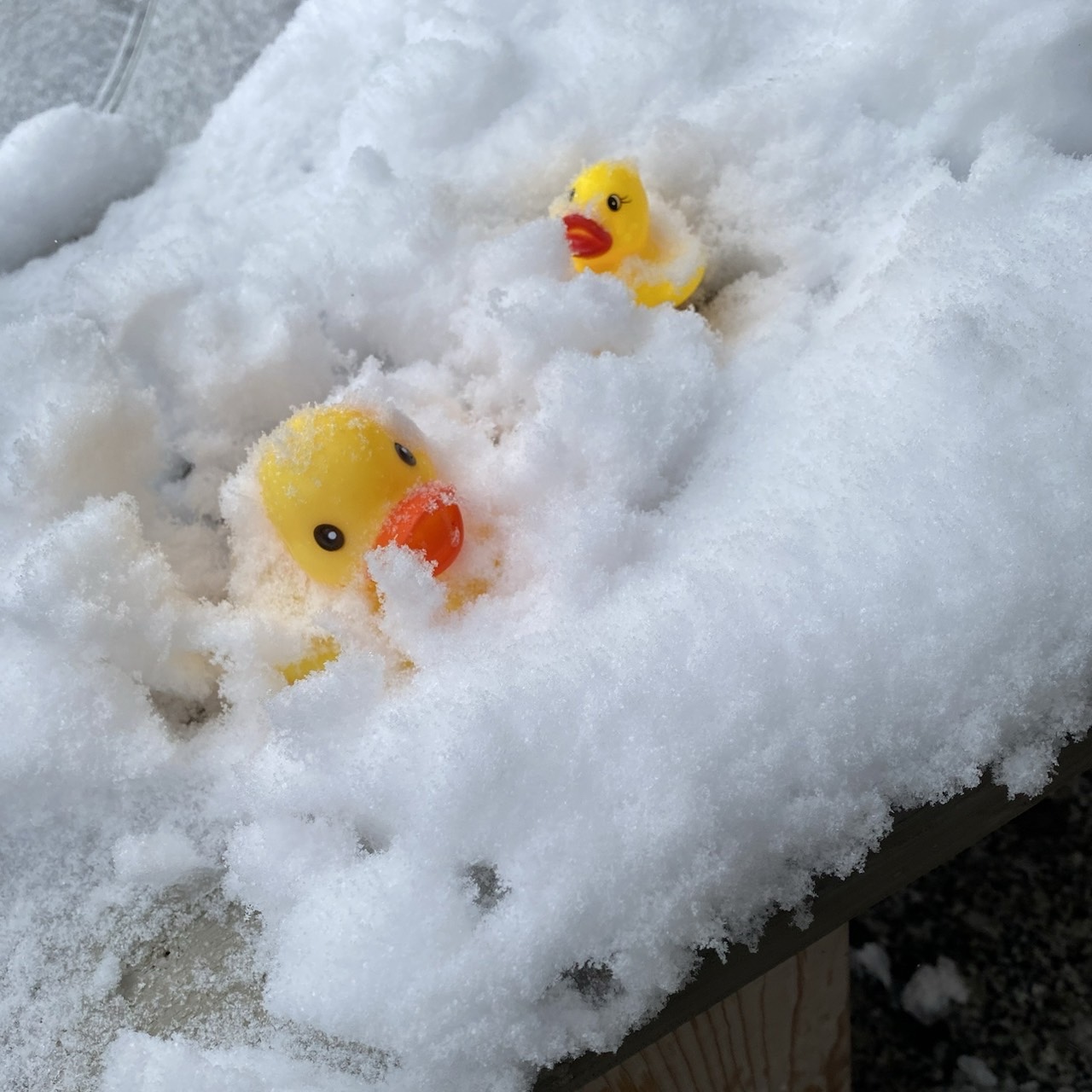 2月ラスト出勤💛ミサト