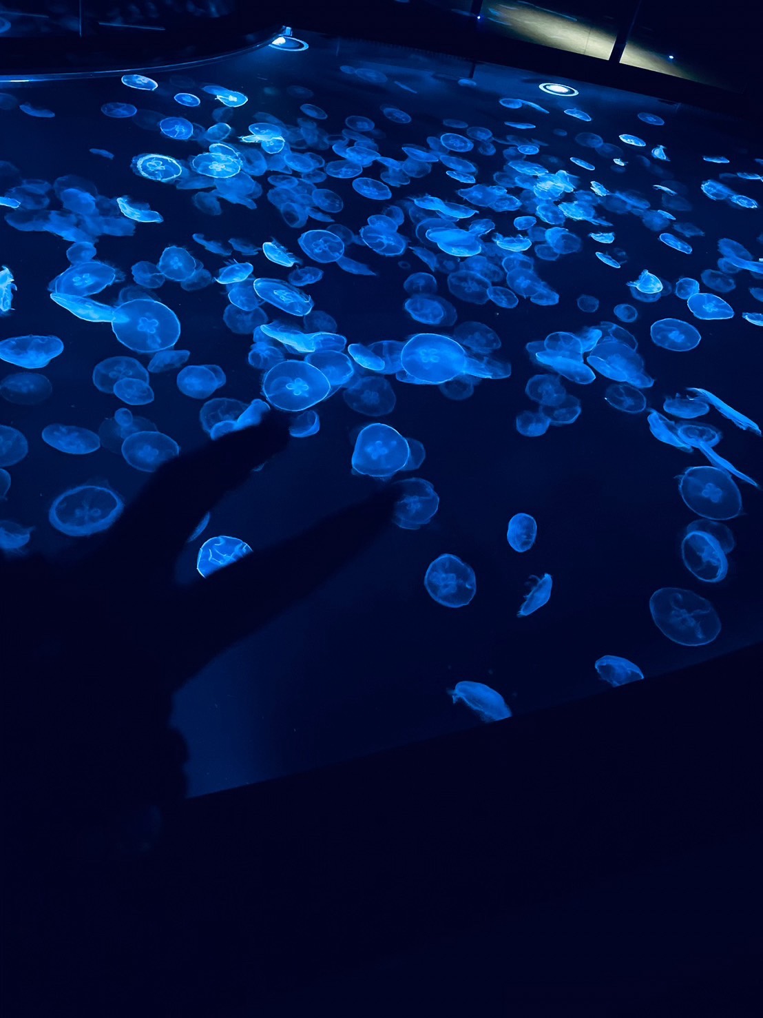 みさとパイセンBDE💋🩷ミオ